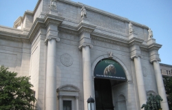 New York Natural History Musuem