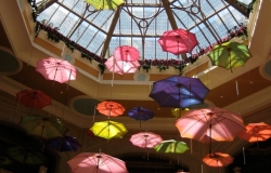 Umbrellas
